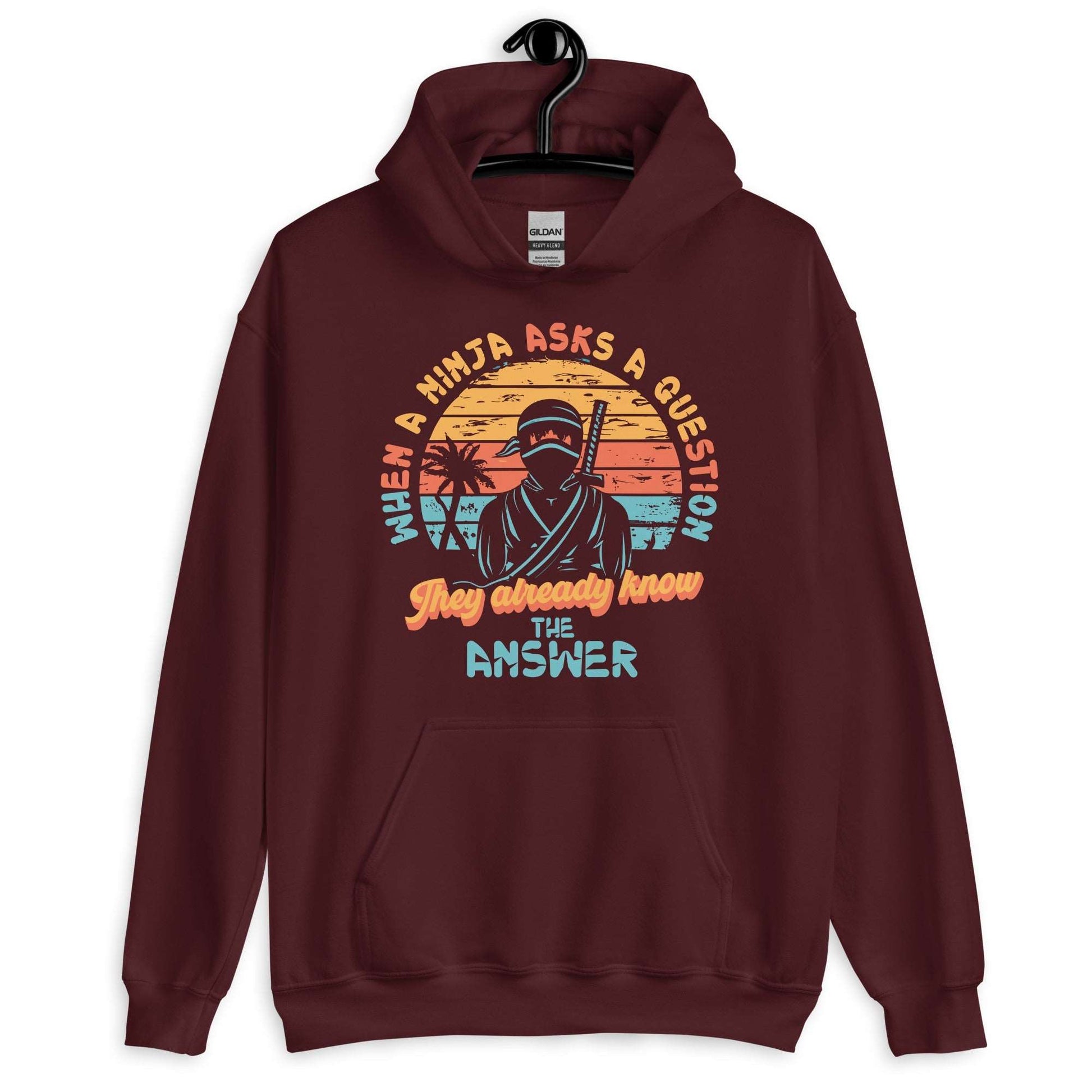 The Wise Ninja's Query Hoodie