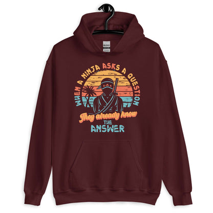 The Wise Ninja's Query Hoodie